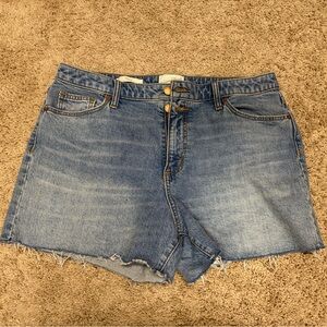 Universal Thread Light Blue Jean Shorts